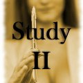 The Experiment--Study II