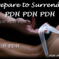 Shelle’s Playground—PDH